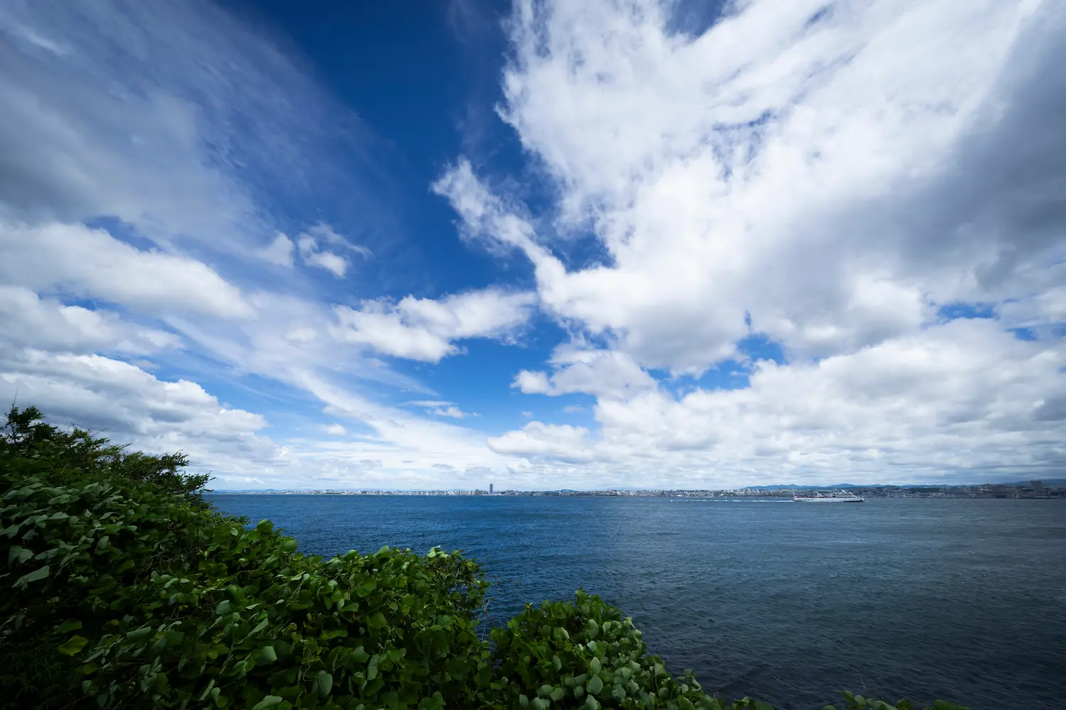 淡路島 禅坊 靖寧 大自然